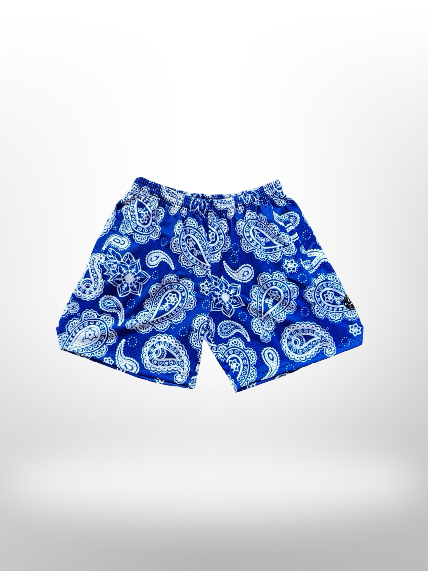 Mesh Paisley Shorts - Blue